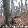 Pep - listopad 2007 072